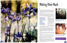 Featured article from Polaroid Test Magazine